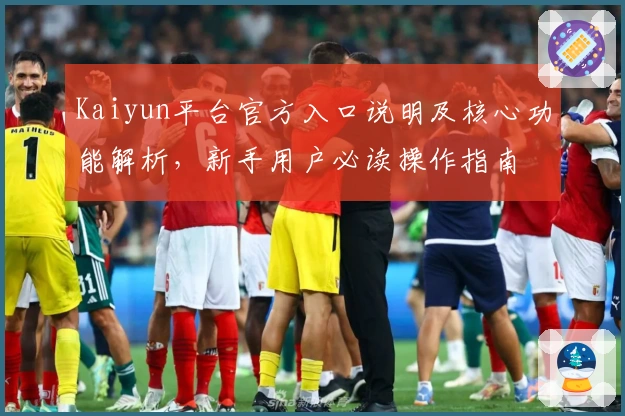 Kaiyun平台官方入口说明及核心功能解析，新手用户必读操作指南